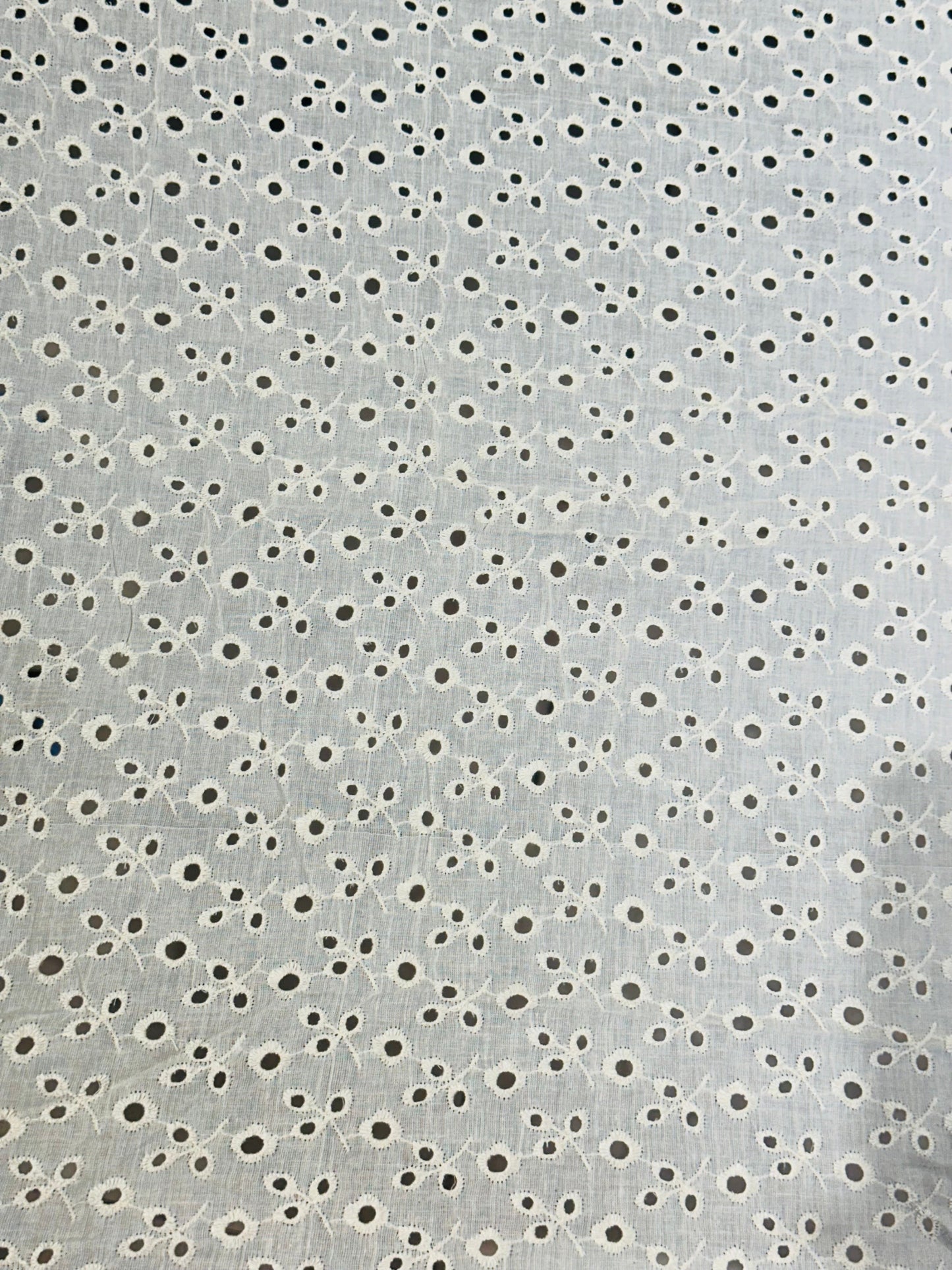 Schiffli 07